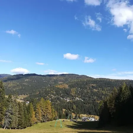 度假居 Almhaus Kaernten *