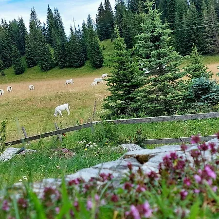 Almhaus Kaernten 度假居 Flattnitz