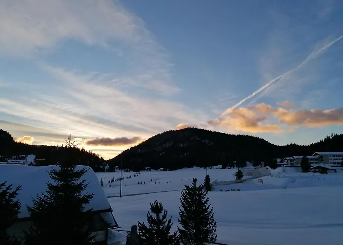 Tatil Evi Almhaus Kaernten